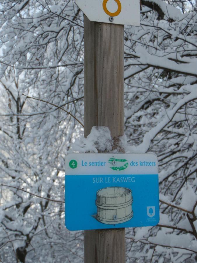 Gite Du Silberwald Charmant Gite Avec Spa - Jacuzzi , Acces Privatif Stosswihr Екстериор снимка