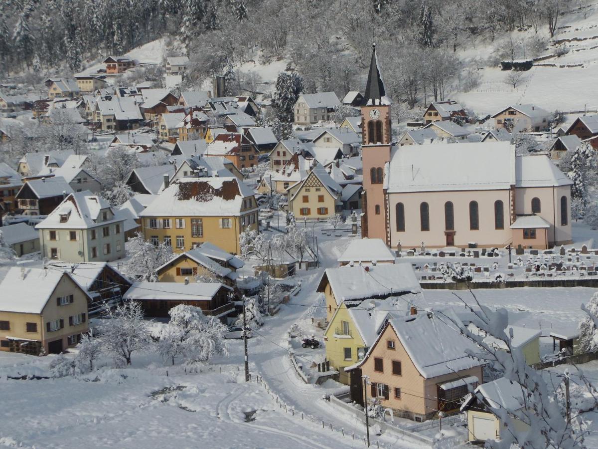 Gite Du Silberwald Charmant Gite Avec Spa - Jacuzzi , Acces Privatif Stosswihr Екстериор снимка